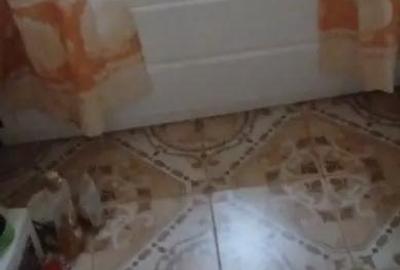 Apartament cu 3 camere decomandat în Tomești - 3