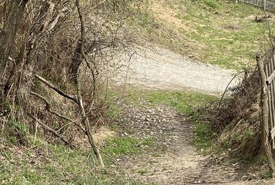 Teren de 22000 mp, în Corbi - 7