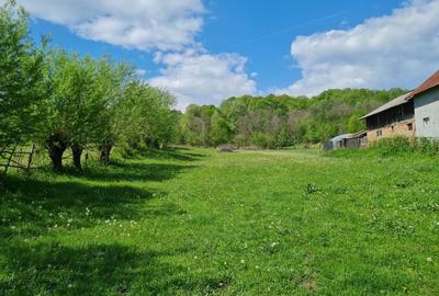 Spațiu comercial, în Ștubeie Tisa - 2