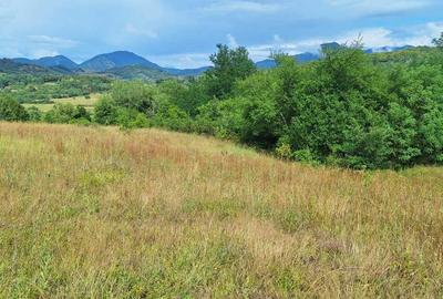 Spațiu comercial, în Ormindea - 5