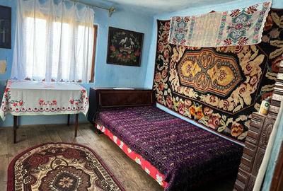 Casă cu Teren 2000 Mp în Valea Fetei - 5