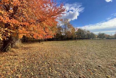 Teren Premium 1559 mp, Brebu Manastirei Refugiu Montan la 120 km de Bucuresti, - 5