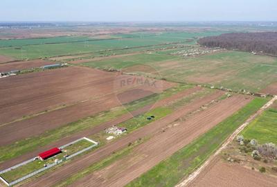 Teren Construcții intravilan de 500 mp, în Săbăreni - 11