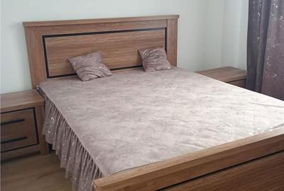 Apartament cu 2 camere decomandat în Ampoi 3 - 6