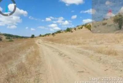 Teren extravilan Loc. Bucovat sat Sarbatoarea, jud. Dolj - 6