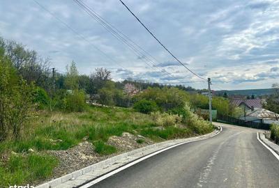 Spațiu comercial, în Valea Lupului - 6