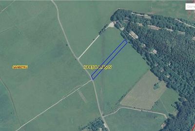 Teren de 7500 mp, în Sânpetru - 2