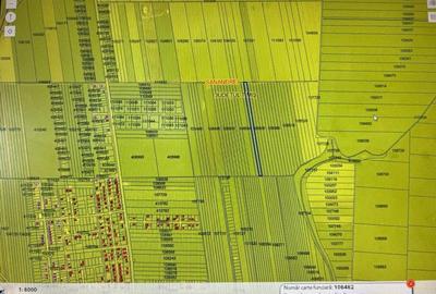 Teren agricol extravilan de 20000 mp, în Sânandrei - 2