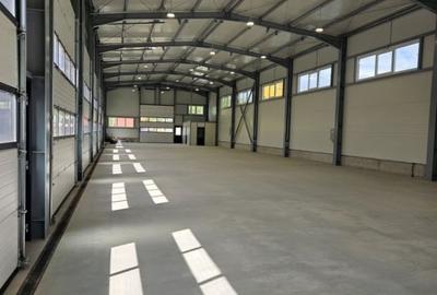 Inchiriere hala industriala noua, DN1 - Cristian, Sibiu - 3