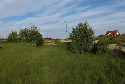 Teren de 1100 mp, în Siret - 1