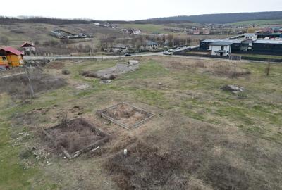Teren Construcții intravilan de 3758 mp, în Mogoșești - 10