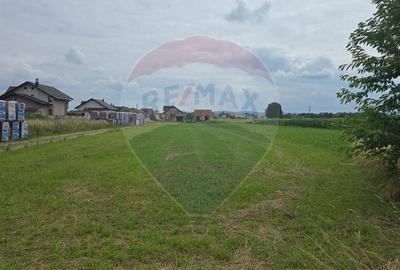 Teren 1,791mp Radauti / Strada Caramidariei - 2