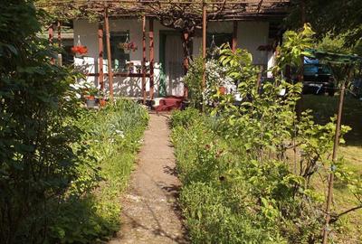 Casă cu 4 camere în Moldoveni - 1