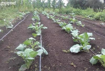 Casă cu 4 camere cu Teren 6.8 Mp în Glodeanu-Siliștea - 9