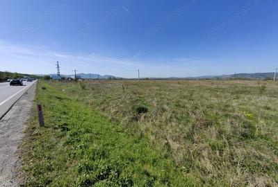 Teren intravilan 8690mp in Orasul Simeria (spre Localitatea Santuhalm) FS 95,41m la Sosea... - 3