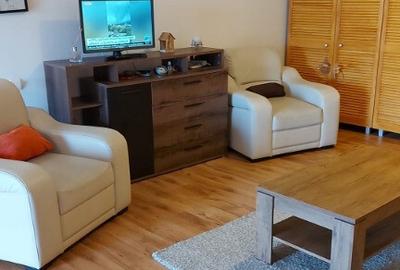 Inchiriere apartament 2 camere 1 Decembrie - Ozana - 5