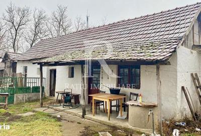 Casă cu 4 camere cu Teren 2000 Mp în Borș - 3