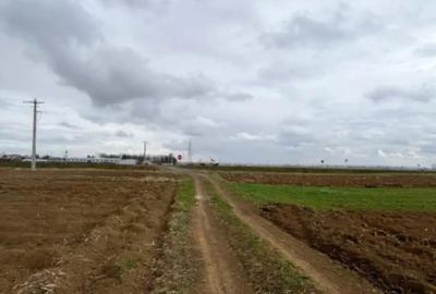 Teren de 2500 mp, în Horodnic - 1