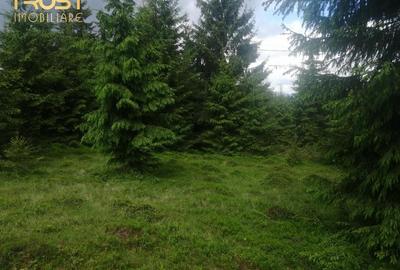 Teren de vanzare, Belis,1300mp, Strada principala, Intravilan - 6