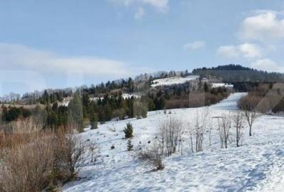 Teren de 7300 mp, în Central - 4