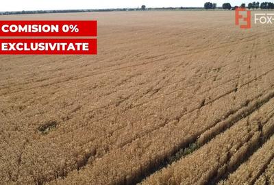 COMISION 0% Teren de vanzare intravilan de 24.700 mp - Padureni - 10