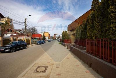 Apartament cu 3 camere decomandat în Alecu Russo - 23