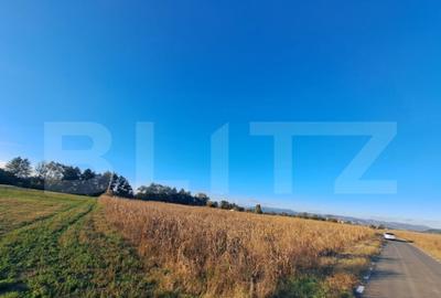 Teren extravilan cu poten?ial IMENS de dezvoltare in BAC - 4