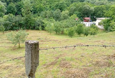 Teren Construcții extravilan de 1953 mp, în Livezile - 1