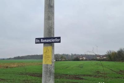 Teren de 3000 mp, în Brănești - 5