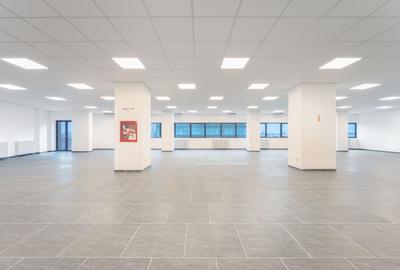 Birou, de 305 mp, în Pantelimon - 9