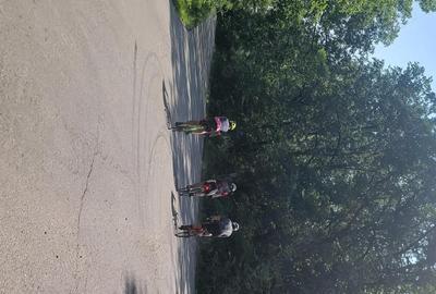 Teren de 250000 mp, în Comana - 5