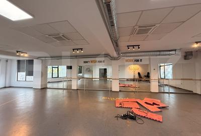 Birou, de 178 mp, în Calea Severinului - 1