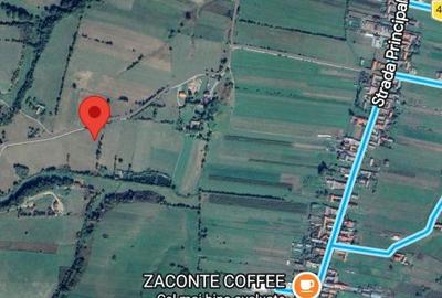 Spațiu comercial, în Vama Buzăului - 1