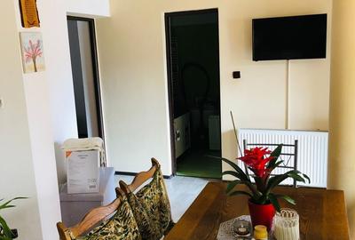 Casa cu 4 camere la 15 minute de centru Timisoarei - 15