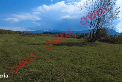 Teren de 2702 mp, în Vama Buzăului - 4