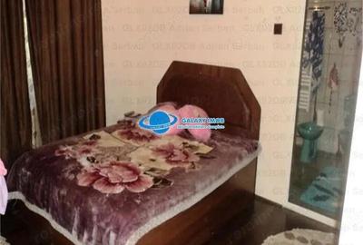 Vanzare vila P+M Targoviste, exterior sud - 5