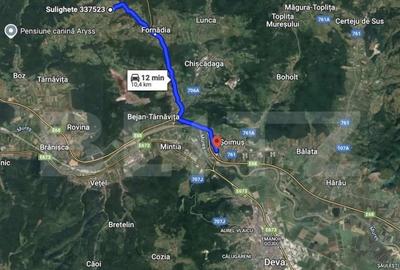 Teren intravilan de vanzare, 2962 mp, zona Sulighete, Deva - 6