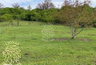 Teren de 5000 mp, în Feldru - 3