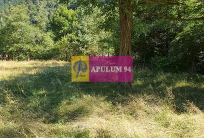 Teren de 744 mp, în Periferie - 15