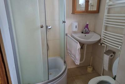 Casă cu 2 camere în Amnaș - 8