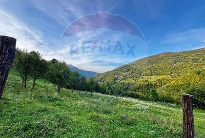Teren 1812 mp de vanzare | Muntele Rece, cadru linistit, Comision 0% - 5