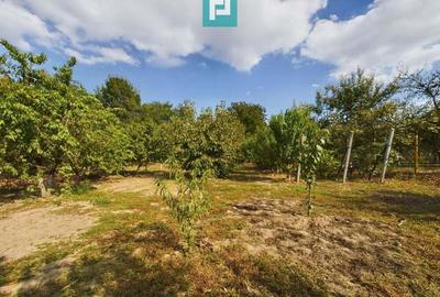 Casa cu teren 2877 mp, ora?ul Ineu - 6