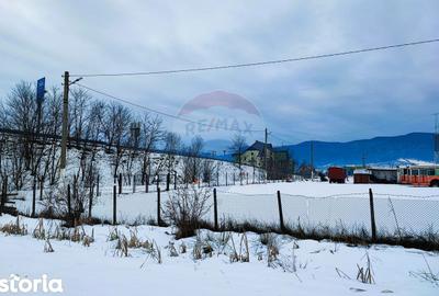 Teren de 9574 mp, în Iacobeni - 3
