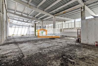 Spatiu Industrial, D 155ml la DJ112A, Acces E68, teren 1,7Ha, - 27