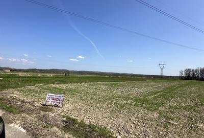 Teren agricol extravilan de 4762 mp, în Stoilești - 4