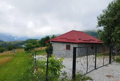 Spațiu comercial, în Cotorăști - 1