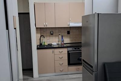 Apartament cu 2 camere în Șega - 10