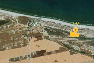 10.000 MP PRIMUL RAND LA MARE - - 4