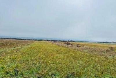 Spațiu comercial, în Central - 2