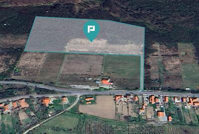 Teren de vânzare – 5,47 ha | Dealul Viilor, Lugoj - 1